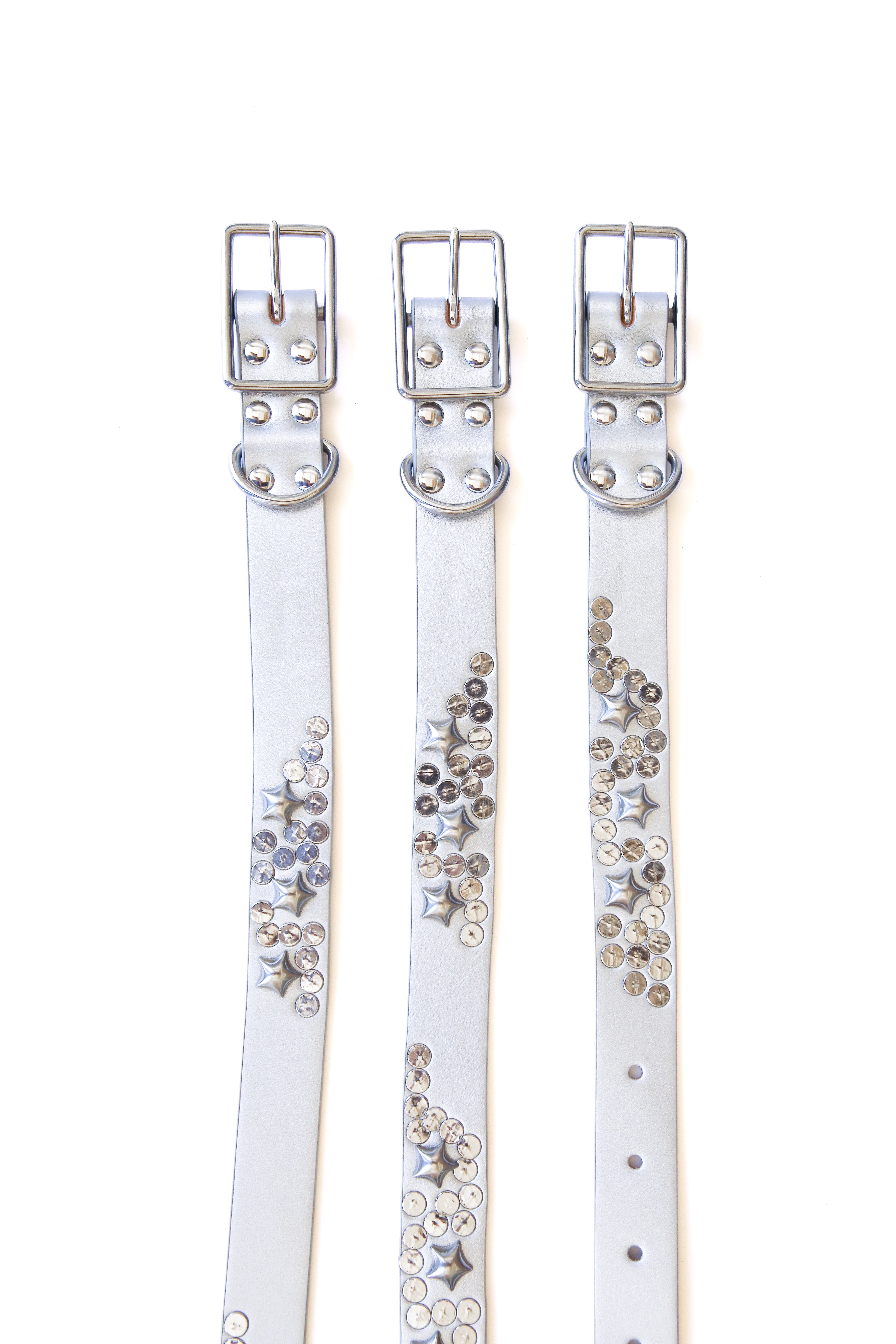 Star Dog Collar