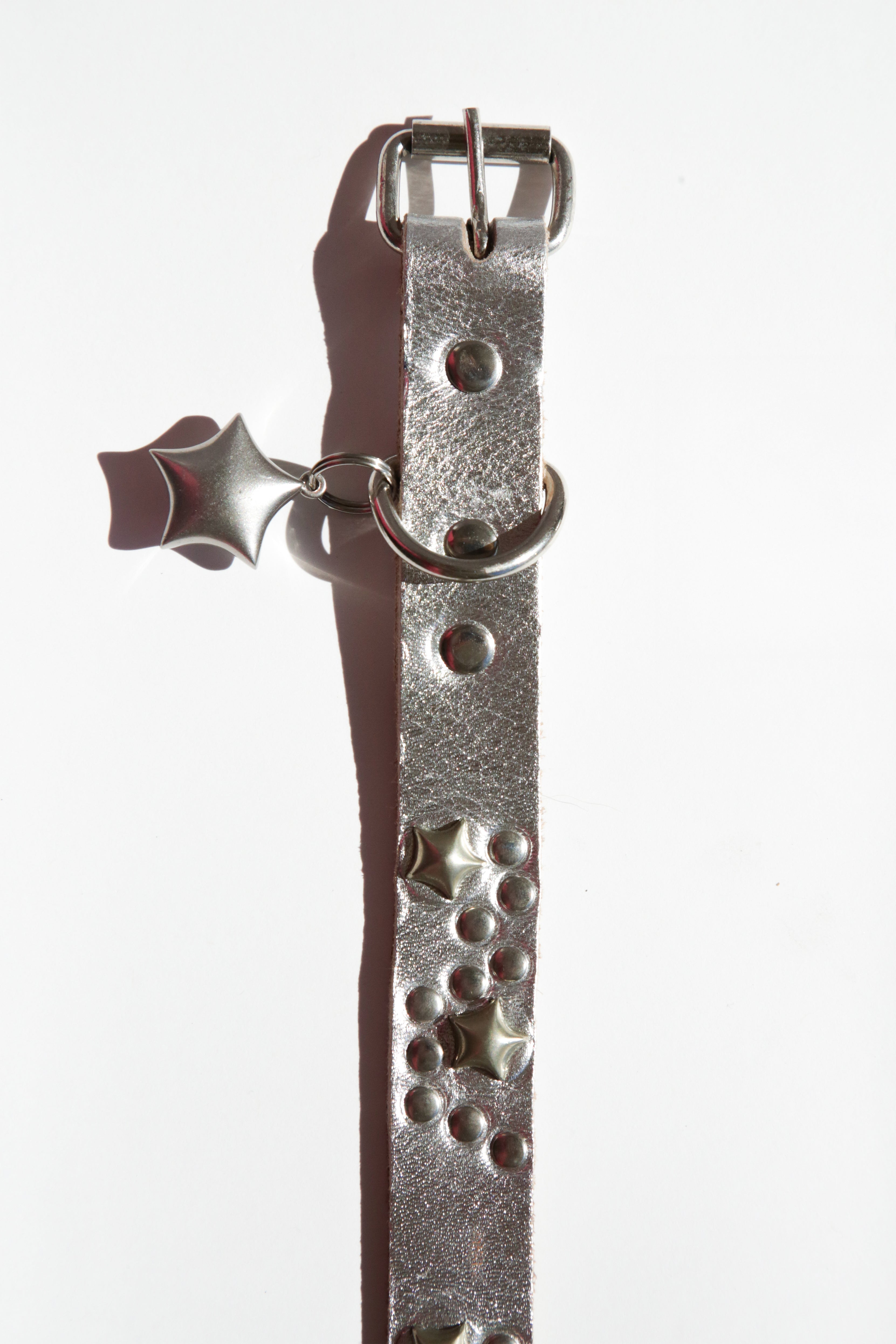 Star Dog Collar