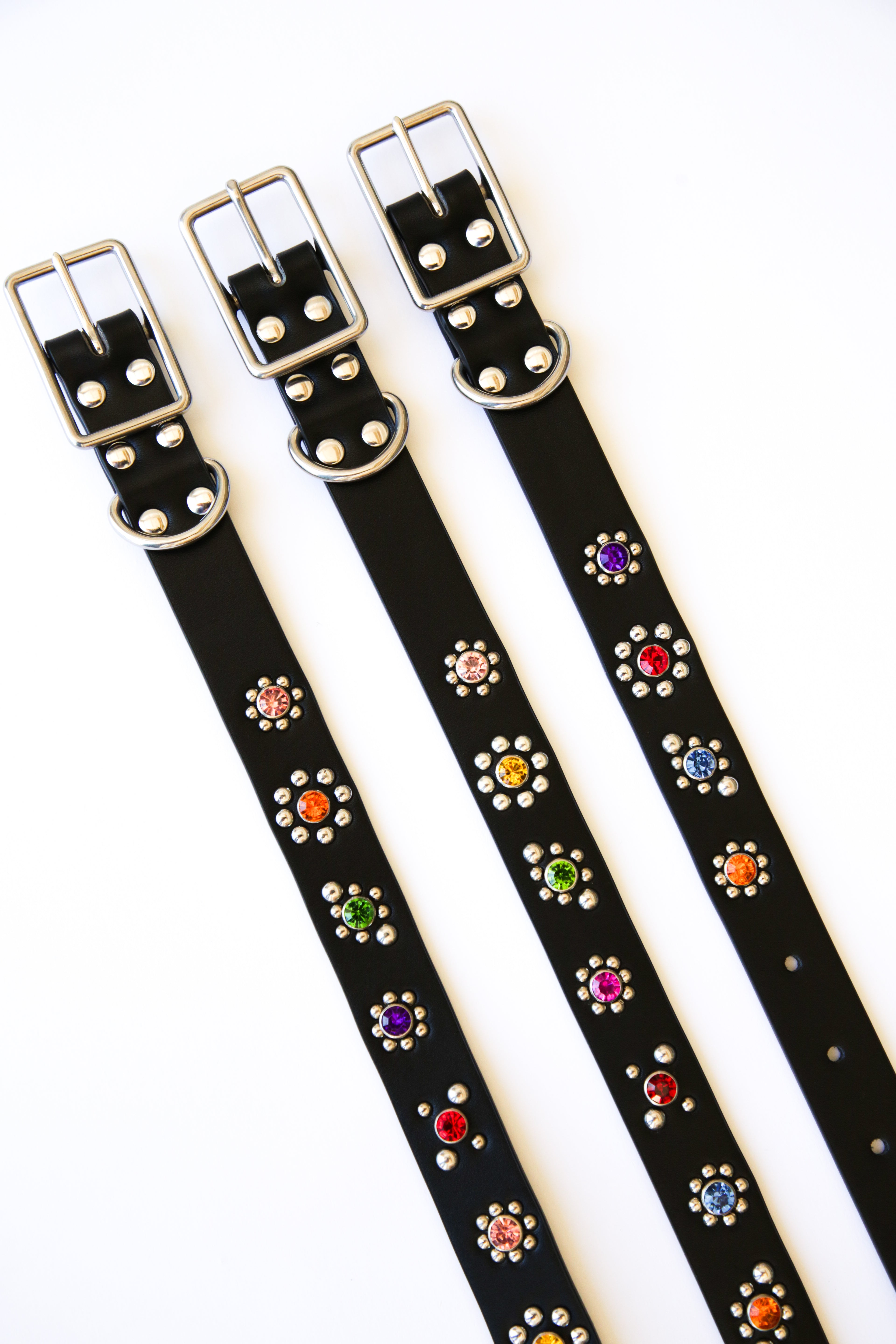 Black Flower Dog Collar