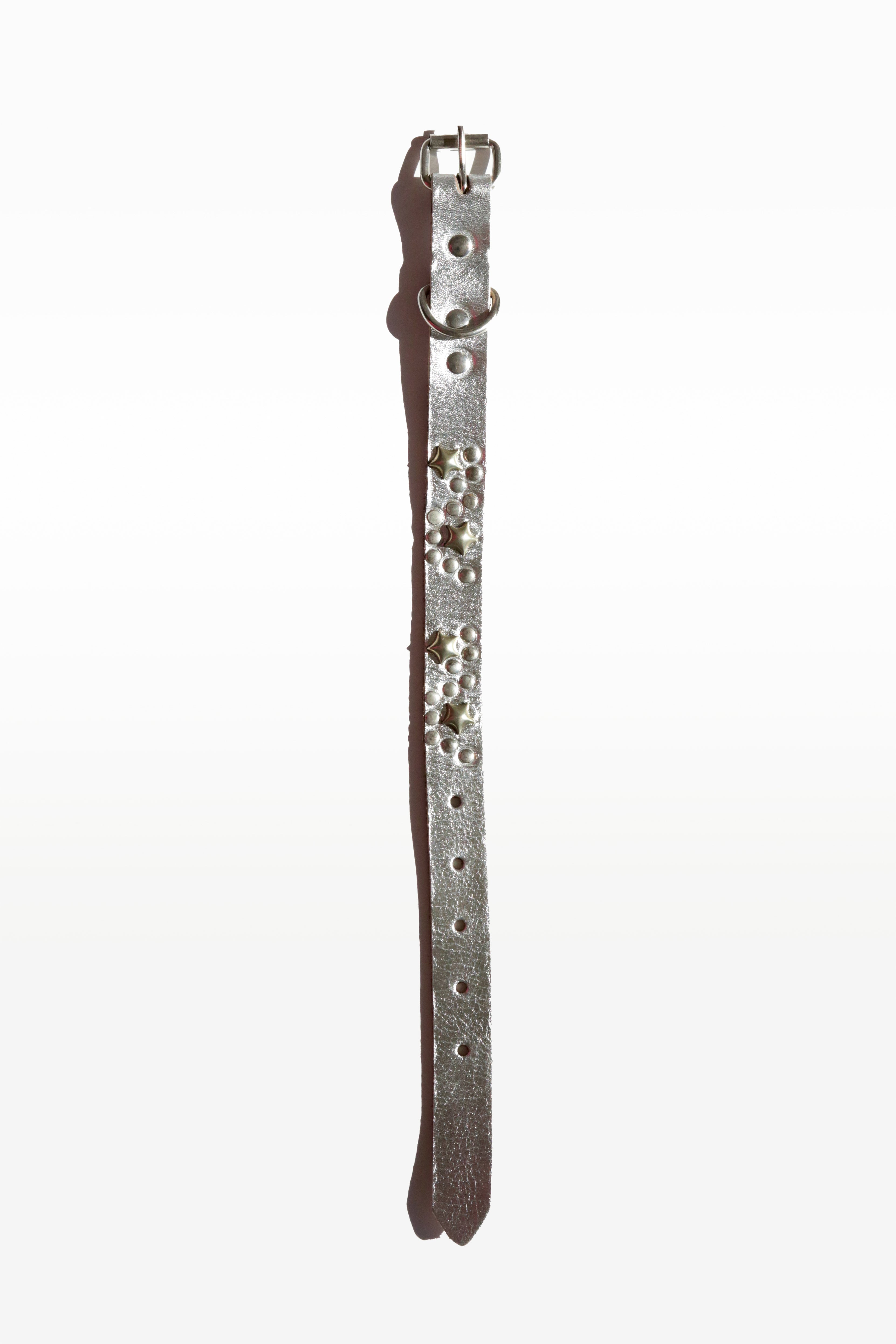 Star Dog Collar