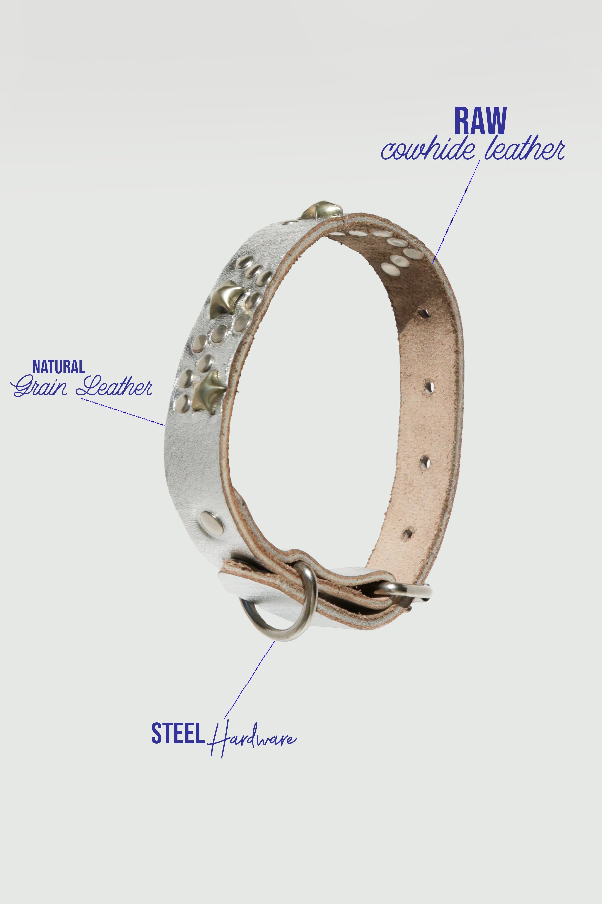 Star Dog Collar